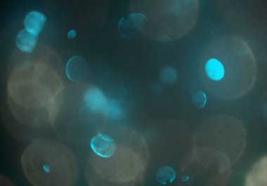 parlayan parlak bokeh parlayan parıltılar