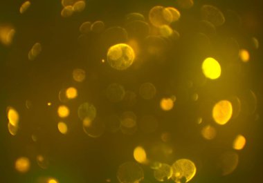 parlayan parlak bokeh parlayan parıltılar