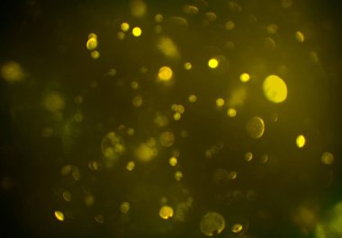 parlayan parlak bokeh parlayan parıltılar