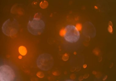 parlayan parlak bokeh parlayan parıltılar