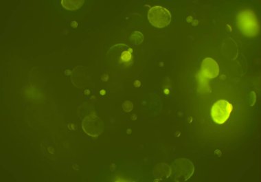 kopya alanı ile bokeh ışıkları dijital arka plan