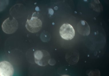 parlayan parlak bokeh parlayan parıltılar