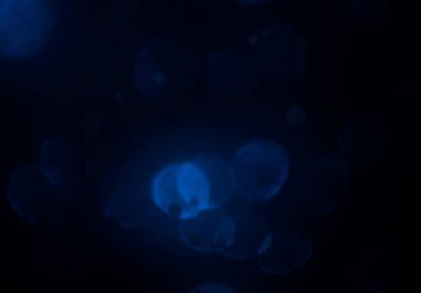 parlayan parlak bokeh parlayan parıltılar