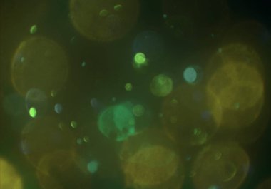 parlayan parlak bokeh parlayan parıltılar