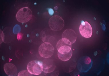 parlayan parlak bokeh parlayan parıltılar