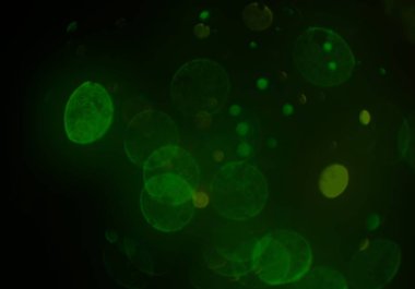 parlayan parlak bokeh parlayan parıltılar