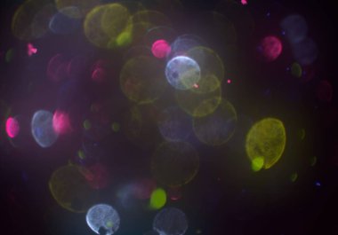 parlayan parlak bokeh parlayan parıltılar