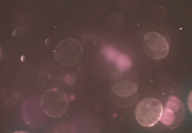 Işıklı soyut arkaplan