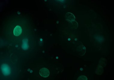 parlayan parlak bokeh parlayan parıltılar