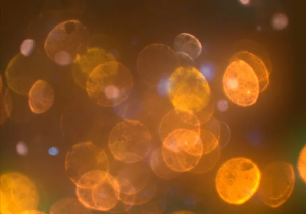 Abstract Behang Met Bokeh Lights — Stockfoto