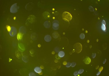 parlayan parlak bokeh parlayan parıltılar