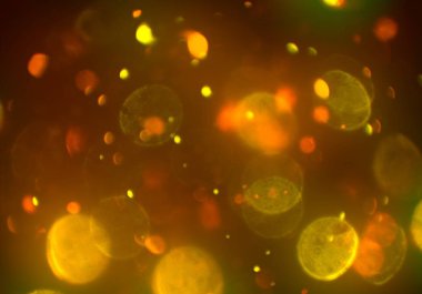 Tasarımınız için parlak bokeh arka plan