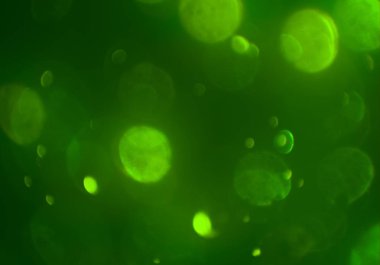 parlayan parlak bokeh parlayan parıltılar