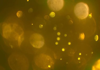 metin veya görüntü için alan ile bokeh arka plan