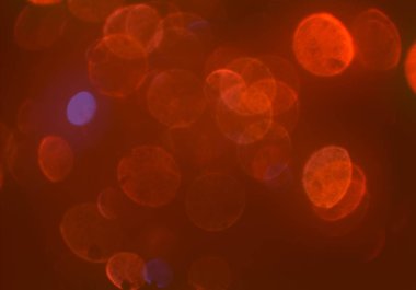 parlayan parlak bokeh parlayan parıltılar