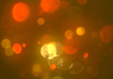 parlayan parlak bokeh parlayan parıltılar