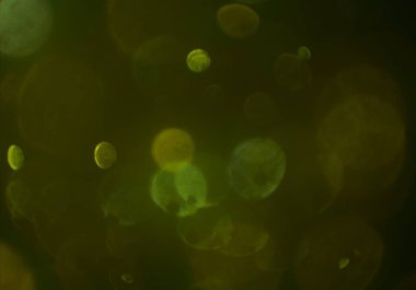 bokeh ve metin için alan ile soyut duvar kağıdı