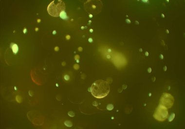 parlayan parlak bokeh parlayan parıltılar