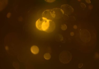 parlayan parlak bokeh parlayan parıltılar