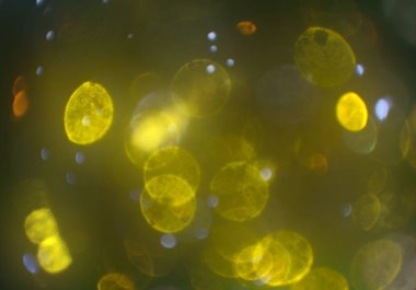 parlayan parlak bokeh parlayan parıltılar