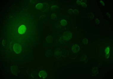 parlayan parlak bokeh parlayan parıltılar