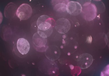 parlayan parlak bokeh parlayan parıltılar