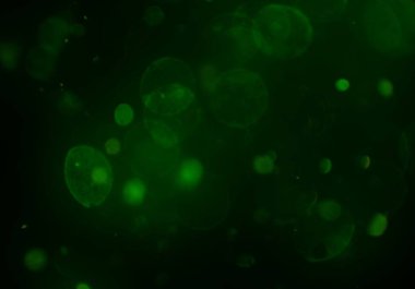 soyut renkli arkaplan, alanı kopyala