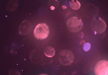 parlayan parlak bokeh parlayan parıltılar