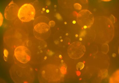 ışıltılar ile ışıltılı bokeh arka plan
