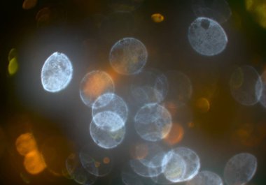 ışıltılar ile ışıltılı bokeh arka plan