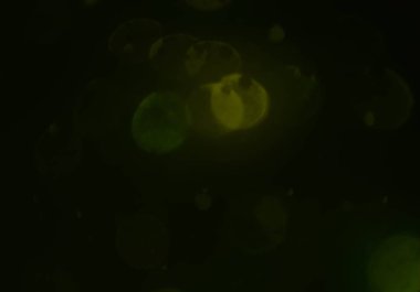 ışıltılar ile ışıltılı bokeh arka plan