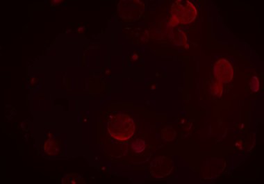 ışıltılar ile ışıltılı bokeh arka plan