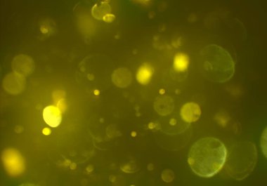 ışıltılar ile ışıltılı bokeh arka plan