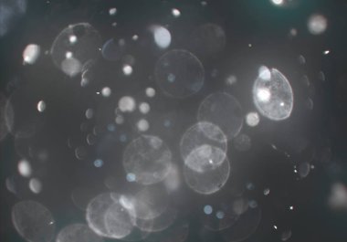 ışıltılar ile ışıltılı bokeh arka plan