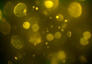 ışıltılar ile ışıltılı bokeh arka plan