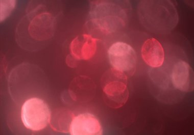 ışıltılar ile ışıltılı bokeh arka plan