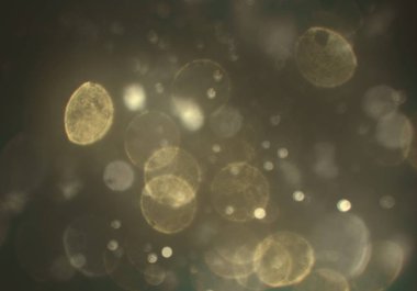 ışıltılar ile ışıltılı bokeh arka plan