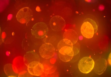 Bokeh ile soyut arkaplan