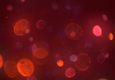 Bokeh ile soyut arkaplan