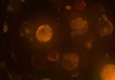 soyut renkli arkaplan, alanı kopyala