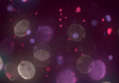 soyut renkli arkaplan, alanı kopyala