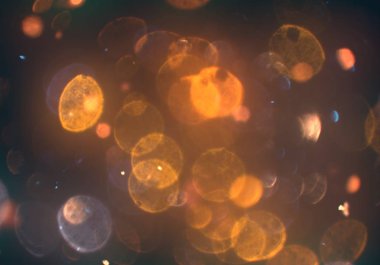 parlayan bokeh daireler arka plan