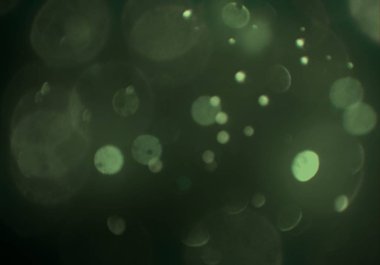 parlayan bokeh daireler arka plan