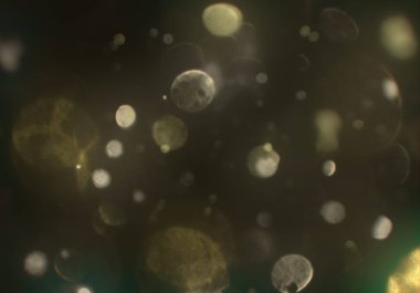 bokeh ve metin için alan ile soyut duvar kağıdı