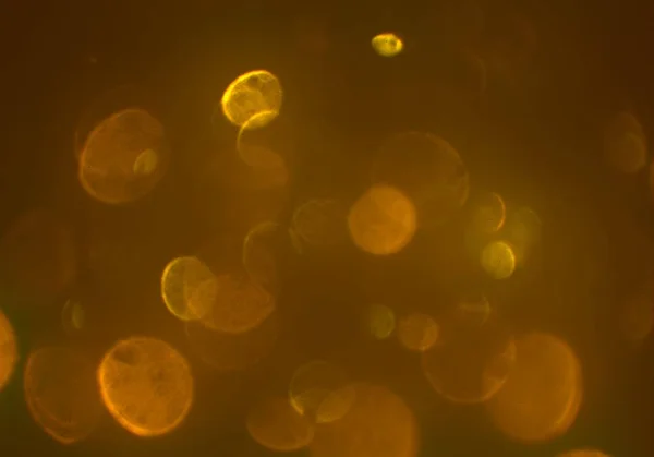 Glowing Bokeh Circles Background — Stock Photo, Image