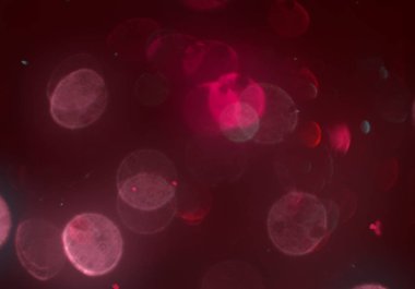 Kalpli soyut arkaplan