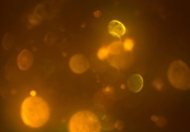 parlayan bokeh daireler arka plan