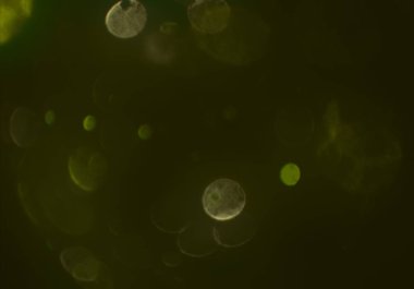 parlayan bokeh daireler arka plan