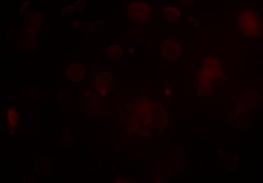 renkli kırmızı bokeh arka plan