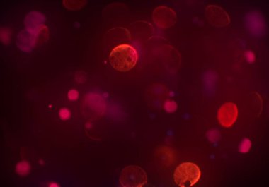 parlayan bokeh daireler arka plan